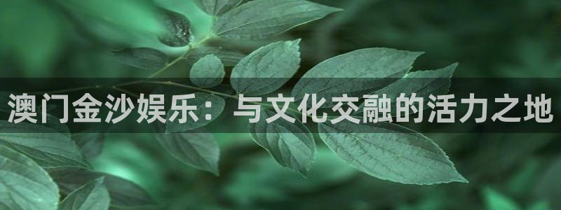 天辰娱乐登录：澳门金沙娱乐：与文化交融的活力之地