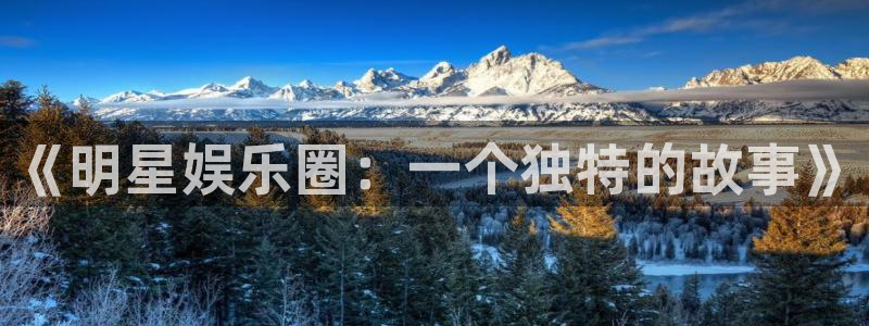 天辰娱乐登录：《明星娱乐圈：一个独特的故事》