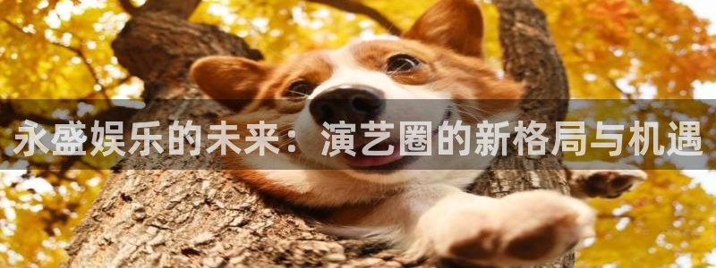 天辰娱乐：永盛娱乐的未来：演艺圈的新格局与机遇