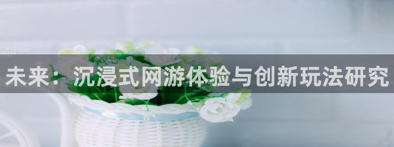 天辰娱乐登录：未来：沉浸式网游体验与创新玩法研究