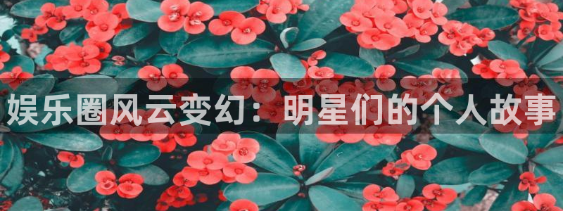 天辰娱乐：娱乐圈风云变幻：明星们的个人故事