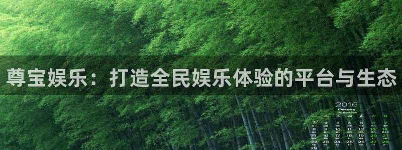 天辰平台：尊宝娱乐：打造全民娱乐体验的平台与生态