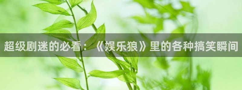 天辰娱乐注册：超级剧迷的必看：《娱乐狼》里的各种搞笑瞬间