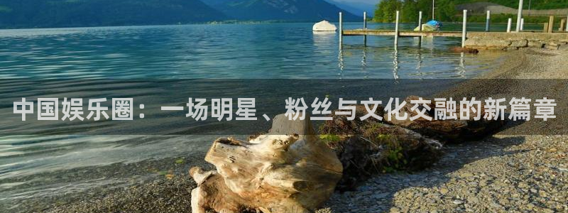 天辰娱乐注册：中国娱乐圈：一场明星、粉丝与文化交融的新篇章