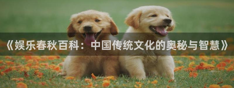 天辰平台：《娱乐春秋百科：中国传统文化的奥秘与智慧》