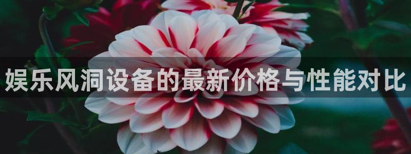 天辰娱乐下载：娱乐风洞设备的最新价格与性能对比