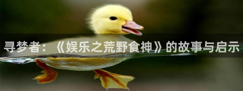 天辰娱乐：寻梦者：《娱乐之荒野食神》的故事与启示
