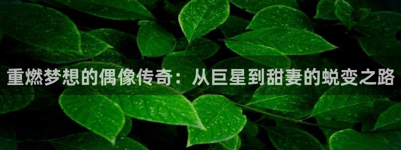 天辰平台：重燃梦想的偶像传奇：从巨星到甜妻的蜕变之路